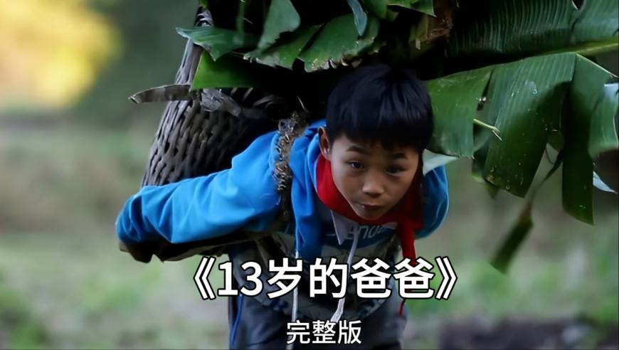 493333王中王开奖结果今晚澳彩开什么号码493333,大学生返校发现被喜鹊“偷家”了,最新答案解释落实_手机版V1.6