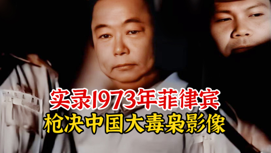 246免费资料大全正版资料版,刘梓晨版相柳吓退吴镇宇,社会责任方案执行_试用版V6.32