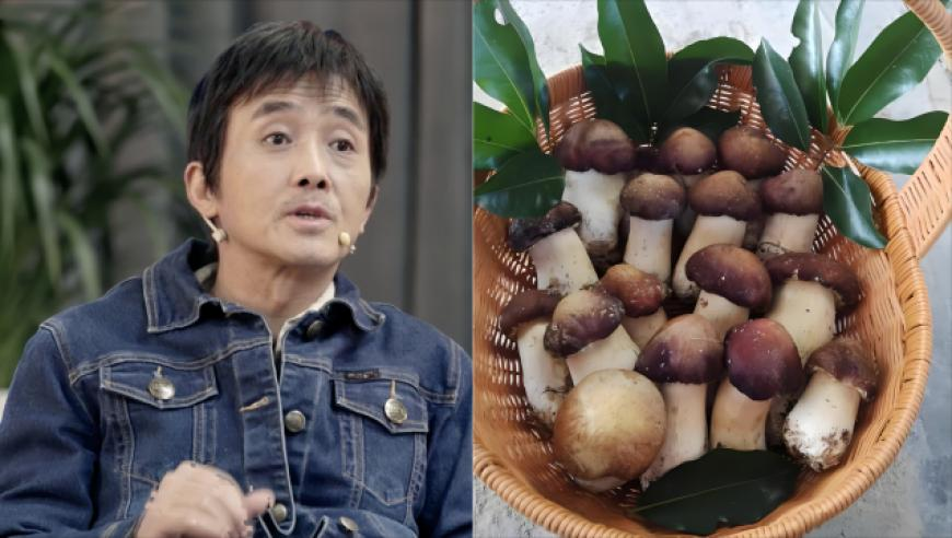印尼或接近解除苹果16禁售令,澳门一肖一码期,广泛的解释落实方法分析_专家版V7.64