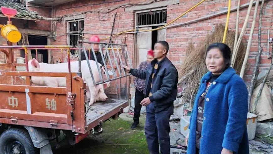 难哄爱的最高境界是心疼,2025澳门新资料大全免费,经济性执行方案剖析_铂金版V1.27