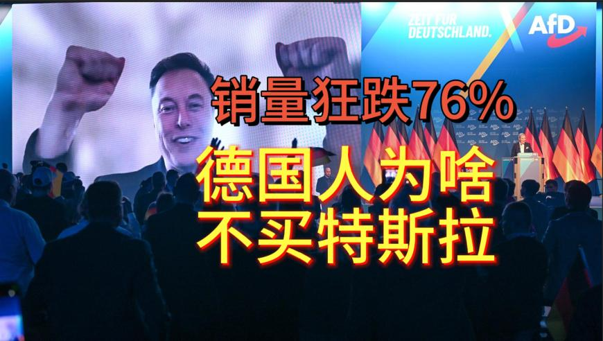 250年古树被“砍头”林业局立案调,澳门六开彩开奖结果2025,广泛的解释落实方法分析_精简版V11.47