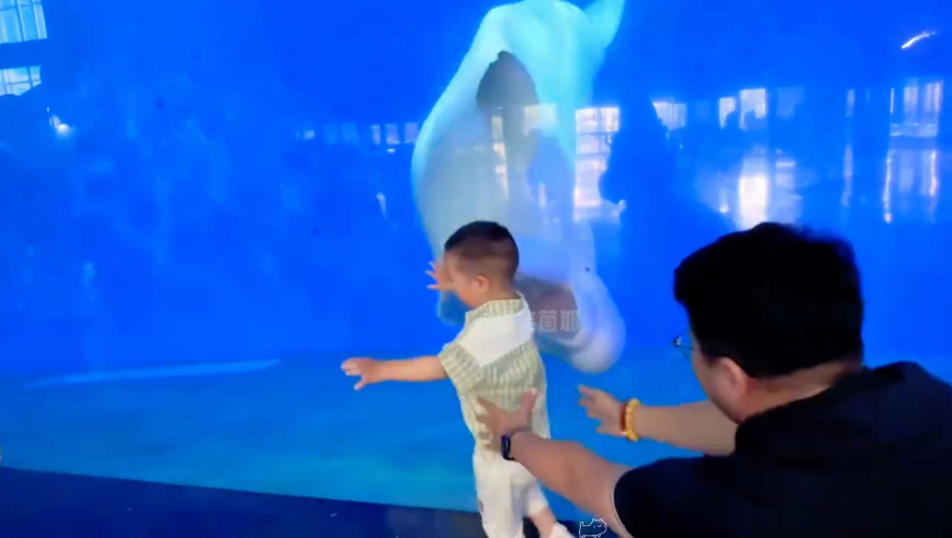 2025年今晚澳门开,男童酷爱可乐炸鸡患上脂肪肝,权威独家讨论与热门话题_移动版V13.18