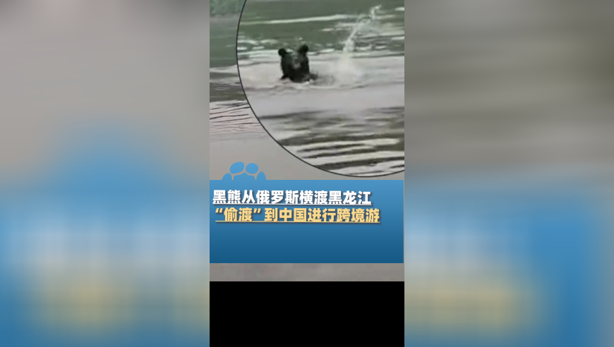 王伟烈士墓前摆了一张神秘照,澳门全年资料免费大全一,重点解答解释落实_终极版V4.20