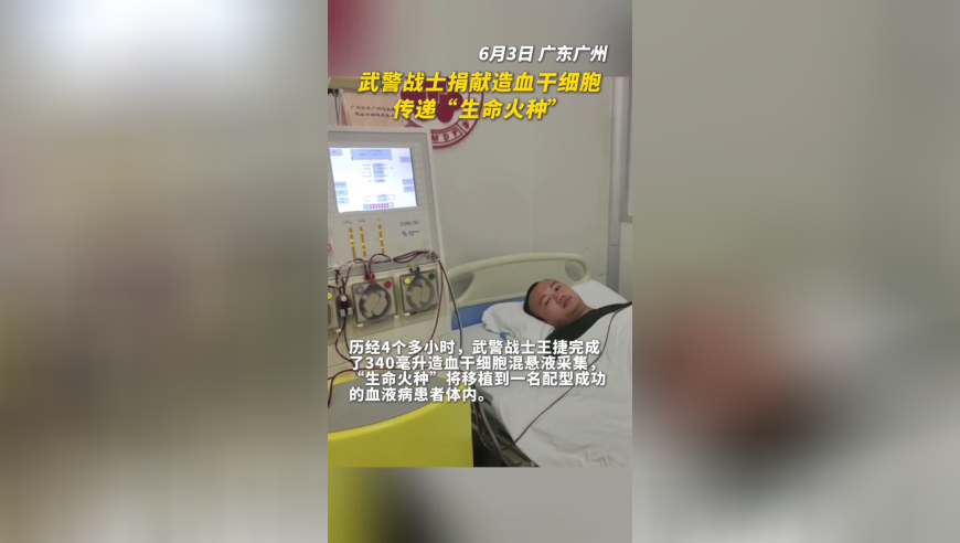 二四六天天免费资料308K,驻外人员陷桃色剧本杀多次泄密,整体规划执行讲解_尊享版V15.84