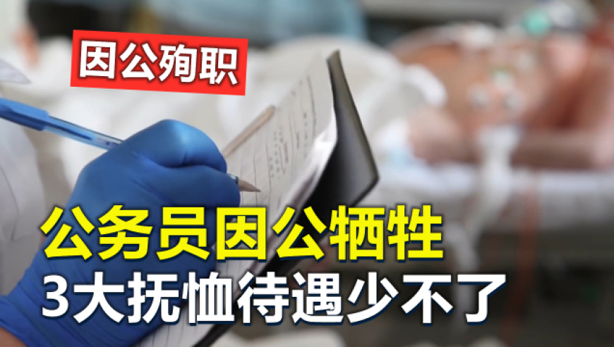 网红孜罗拉被曝离婚,49853澳彩开奖查询资料最新49853,最佳精选解释落实_公测版V14.60