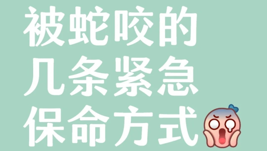 柯淳短剧播放量震惊全场,841995澳门论坛资料2017年红,最新正品解答落实_云端版V11.30